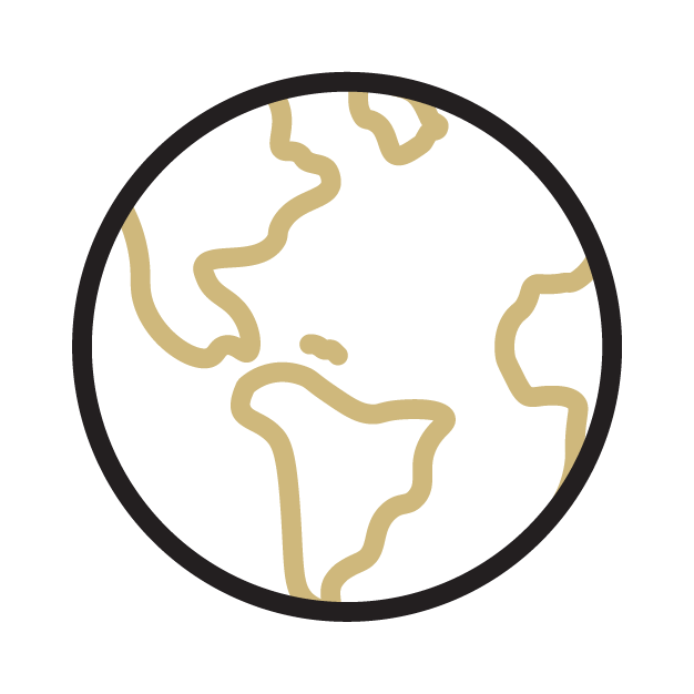 Icon of the globe