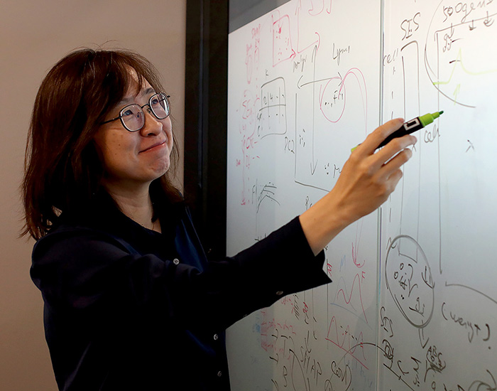 Fan Zhang