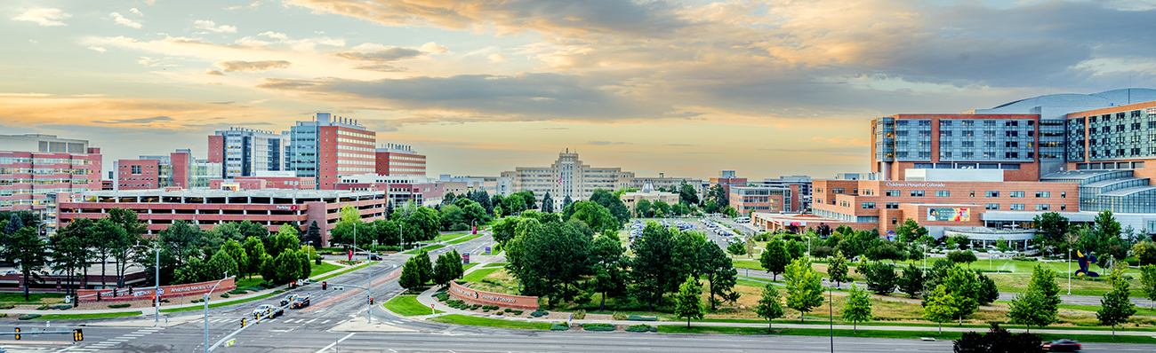 campus at sunrise