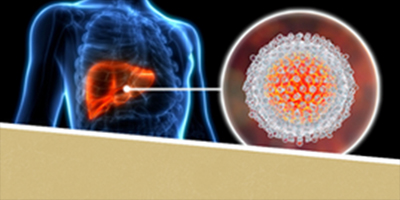 graphic including human liver