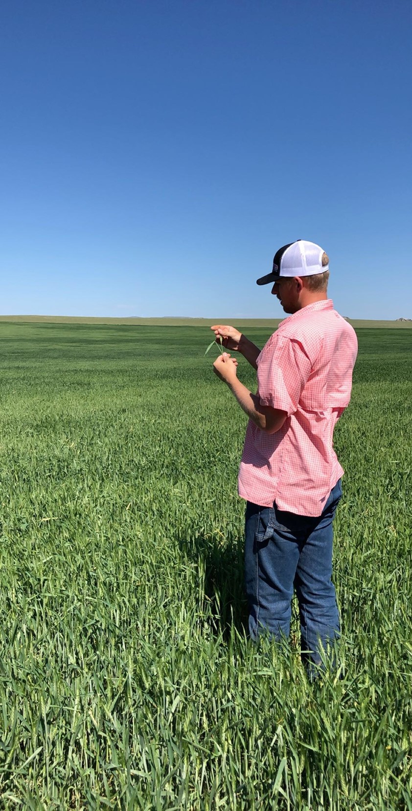Farmer in Field