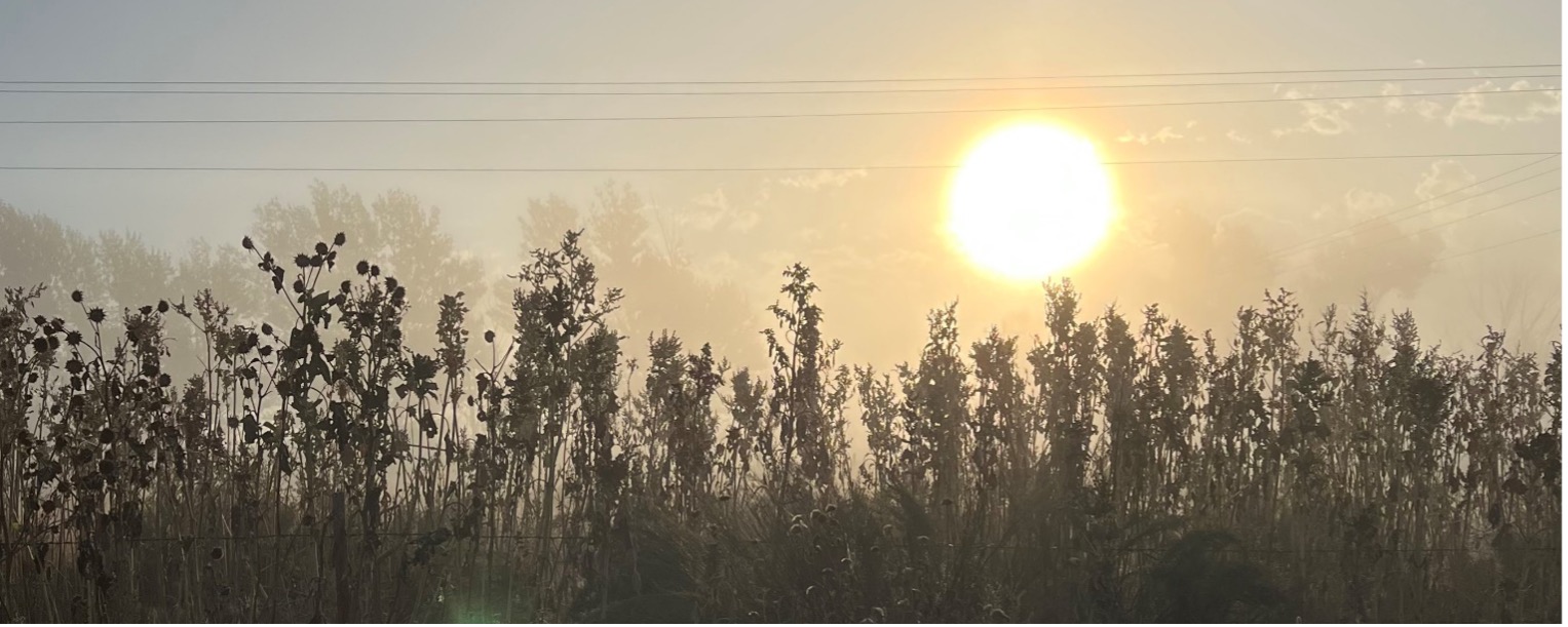 Sun on the horizon
