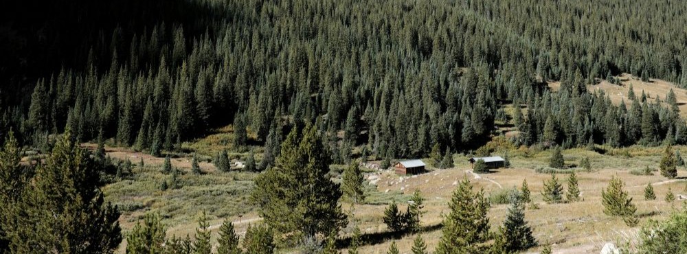 A Colorado landscape featuring dense evergreen forests and two rustic cabins nestled in a valley