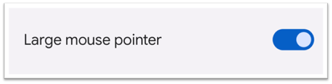 enable large mouse pointer