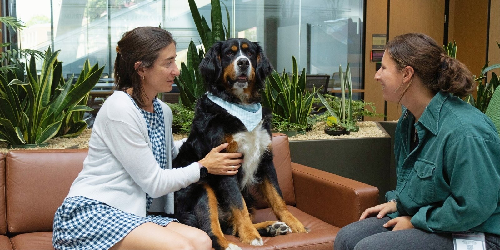 Otis the Therapy Dog