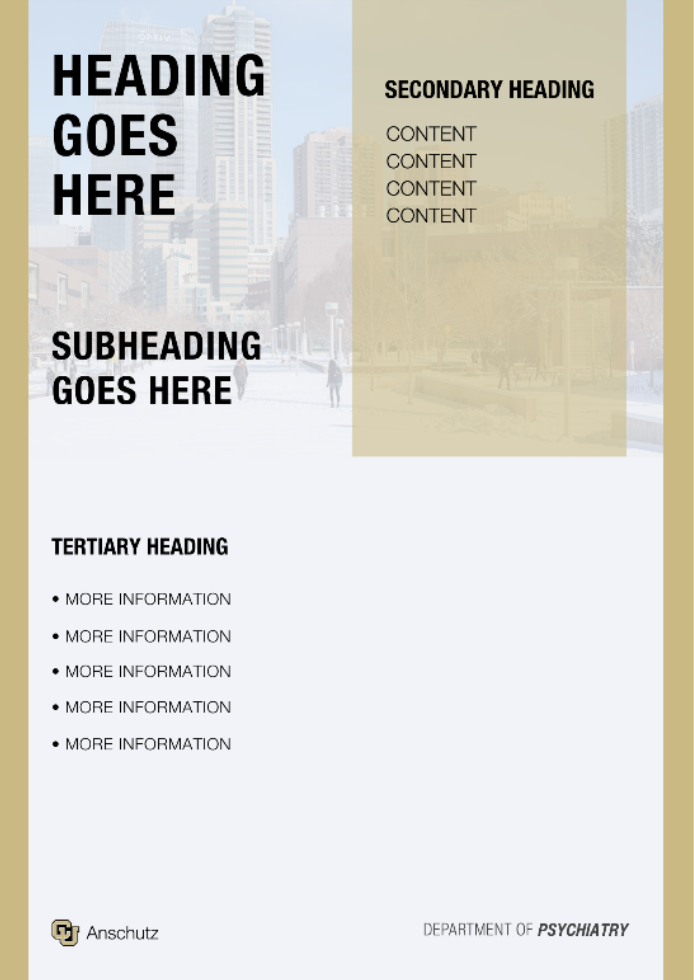 Poster Session Template