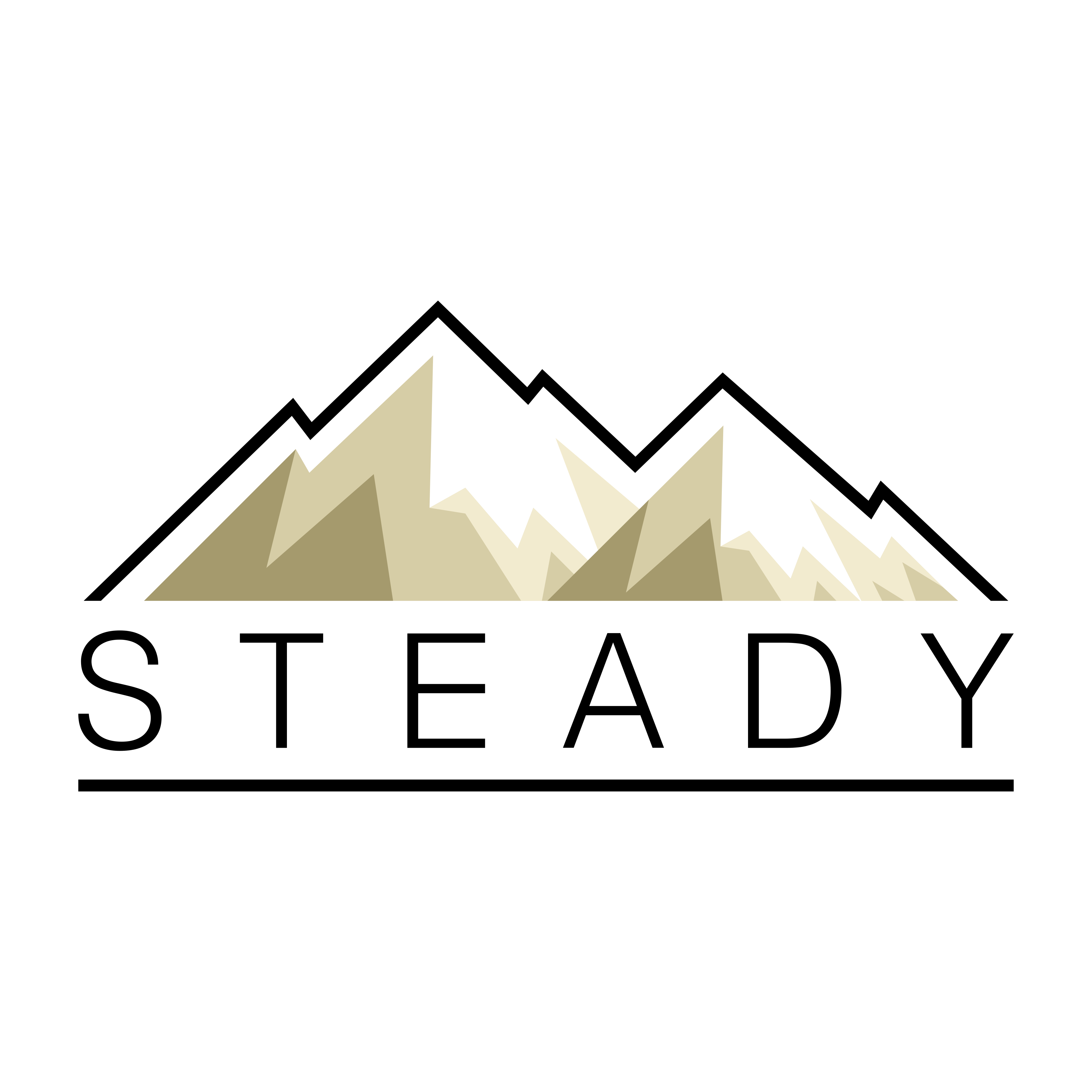 STEADY graphic