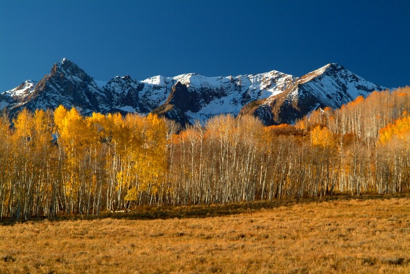 Mountain scenery and Aspen trees
