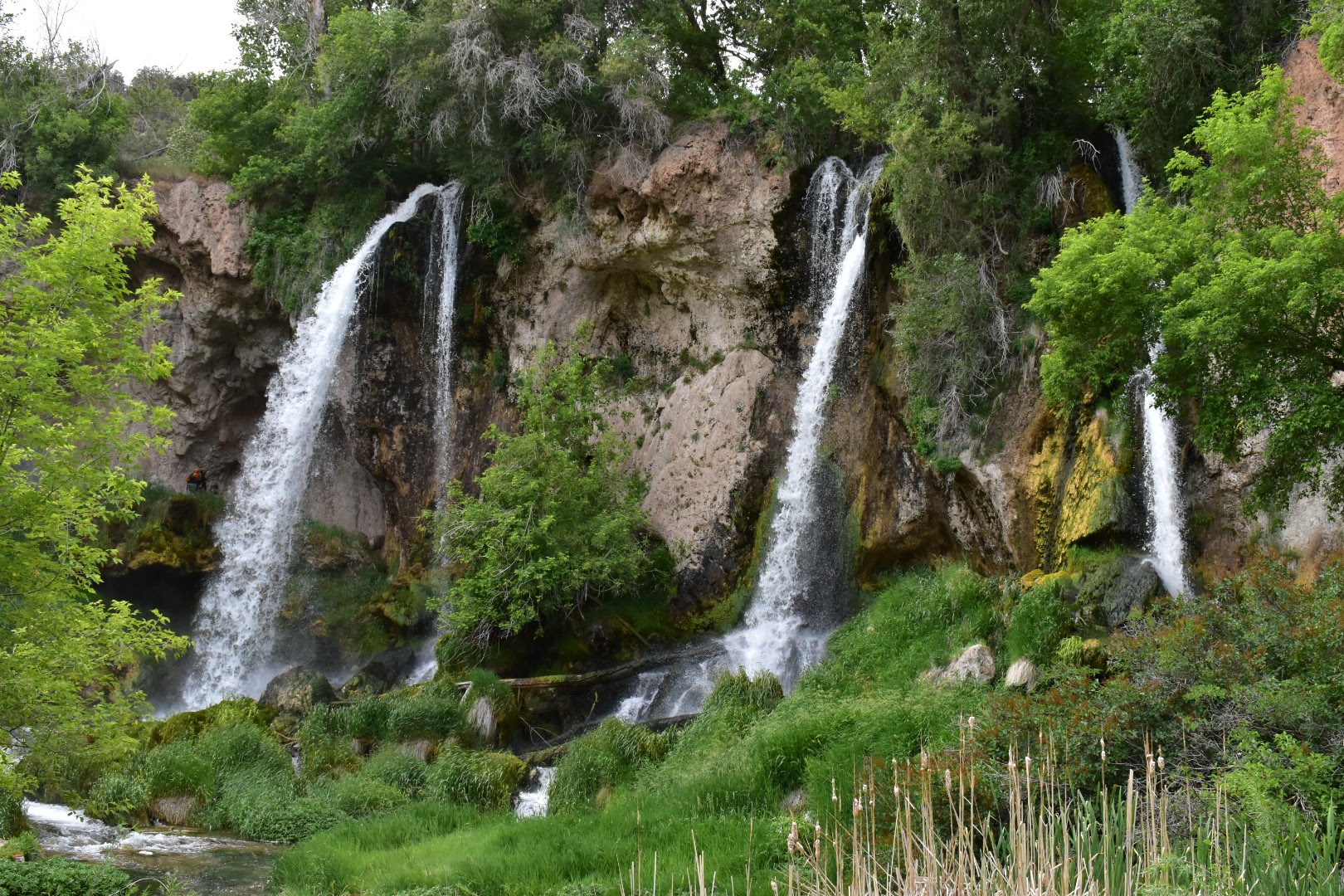 Rifle Falls