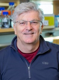 Peter Dempsey