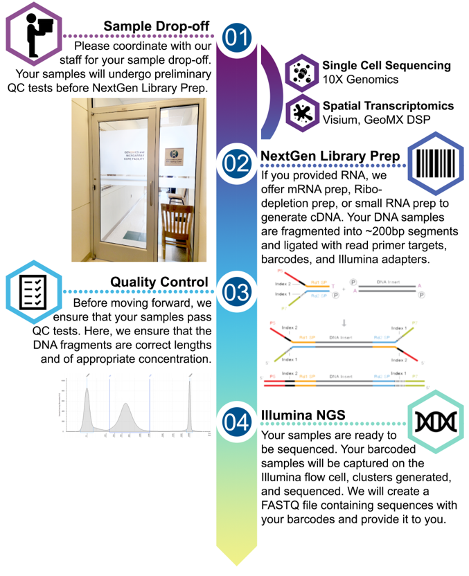 Next generation Library prep