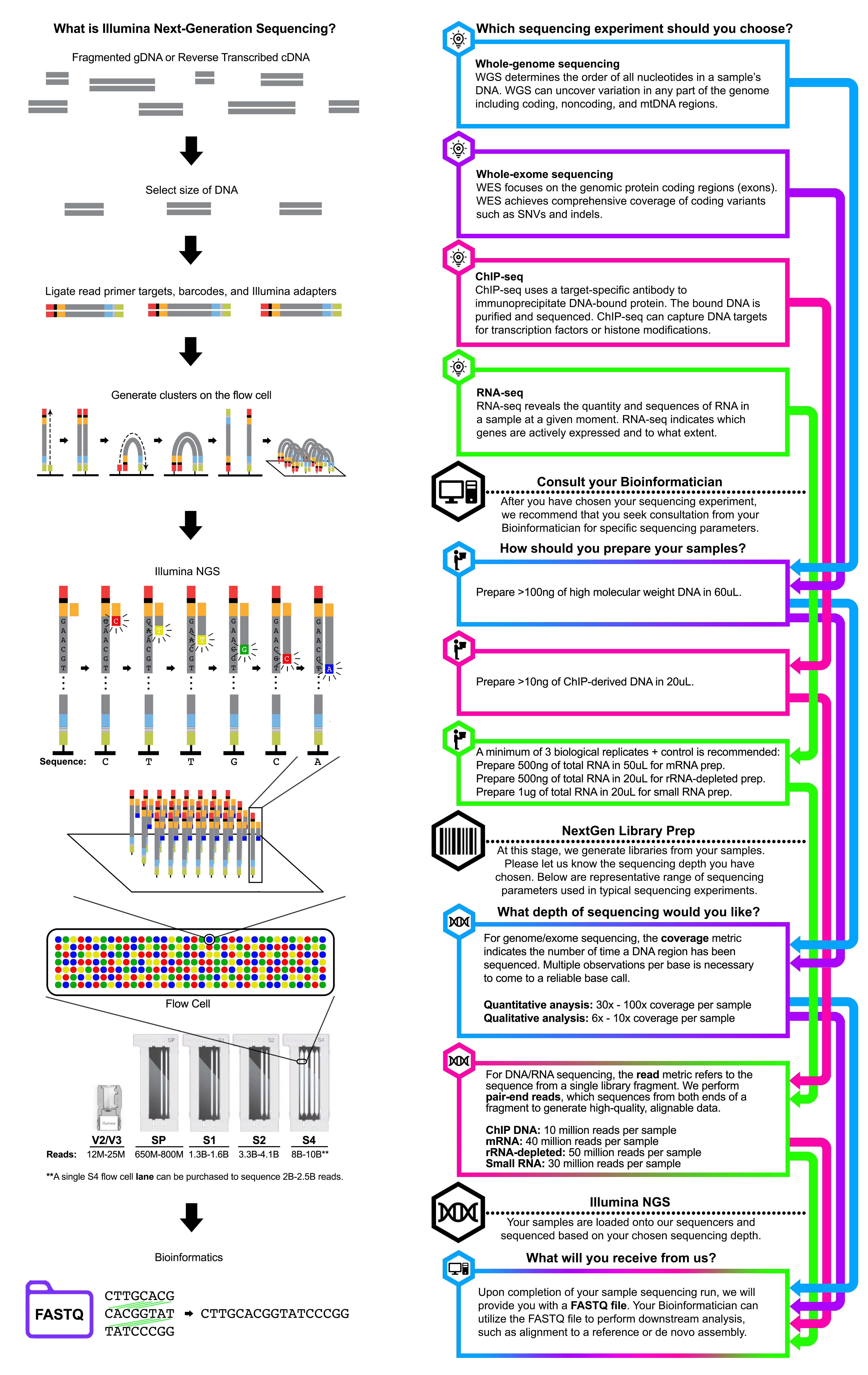 WIP sequencing 2
