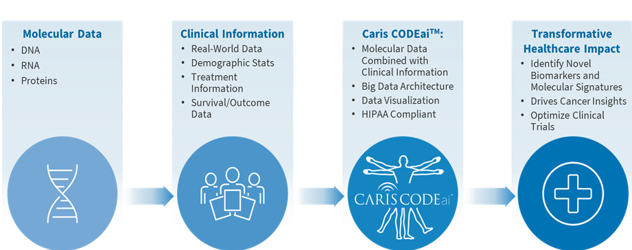 Image of CODEai Process