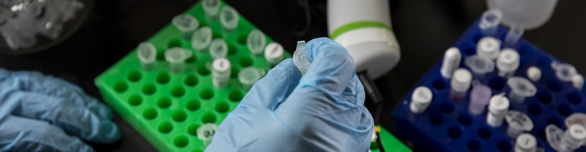 Research banner image (1150 x 300)