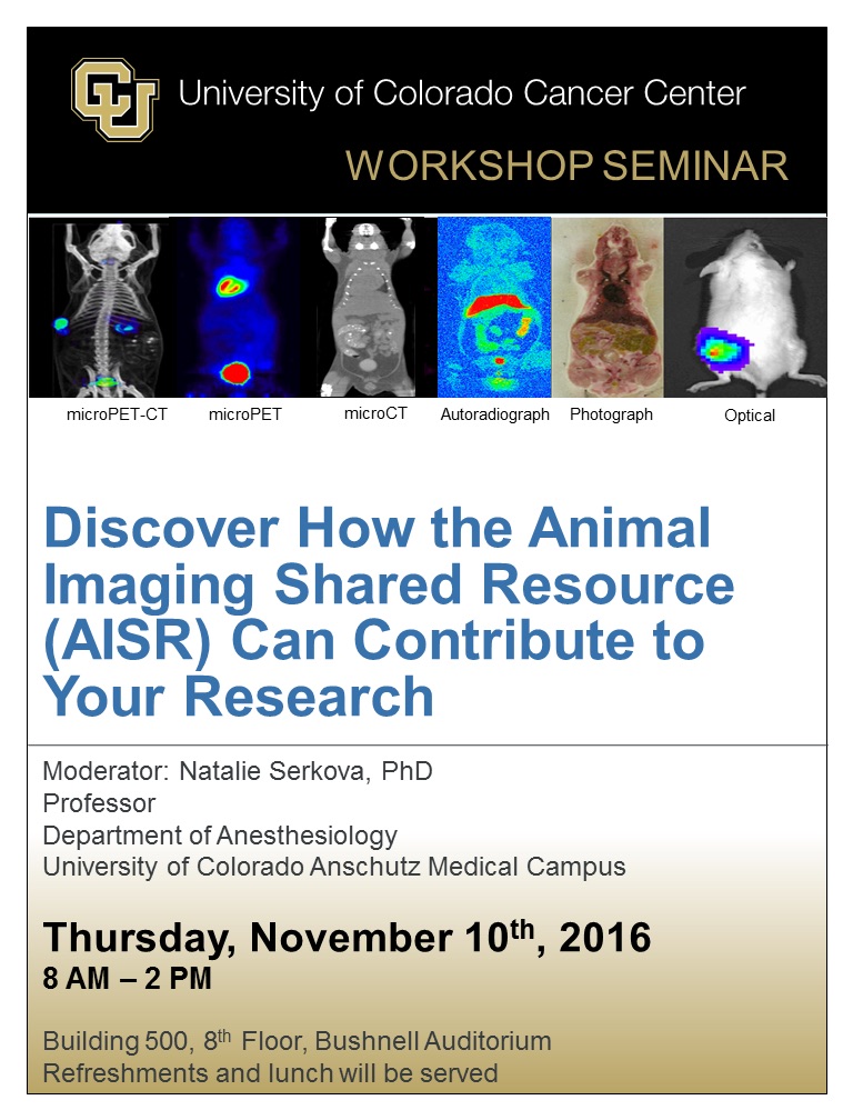 2016_11_AISR_Workshop_Flyer