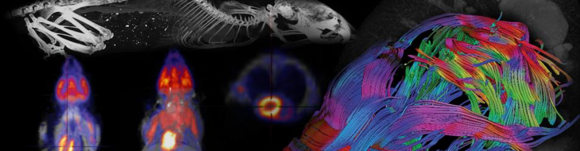 Animal Imaging Header Image