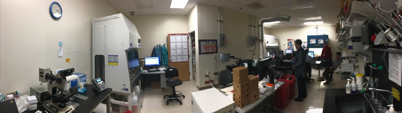 flow cytometry header image