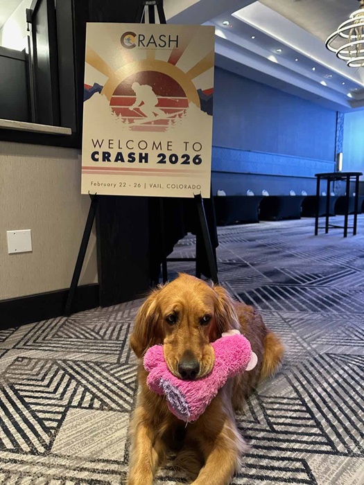 CRASH 2026 Photo