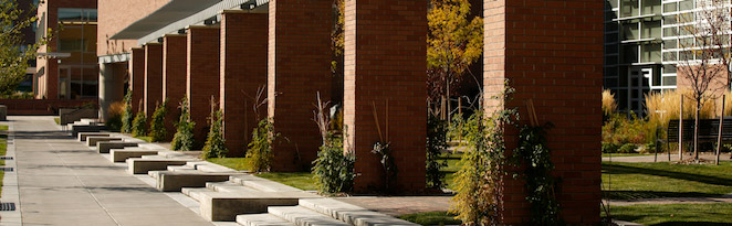 Campus.AMC_0353_0810_Section Campus.AMC_0353_0810_Section