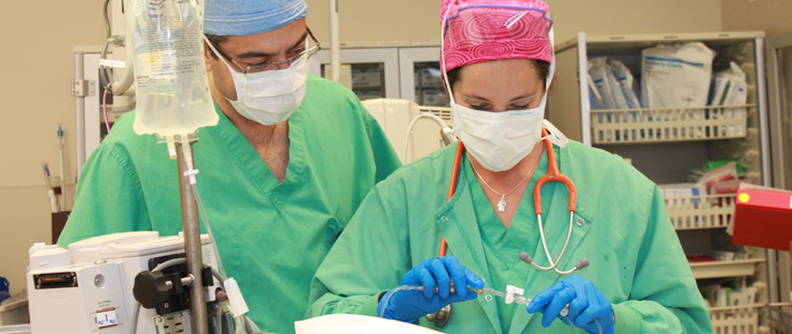 ClinicalCareHeader ClinicalCareHeader
