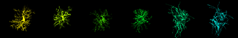 Hughes Lab -- Figure 3 Hughes Lab -- Figure 3