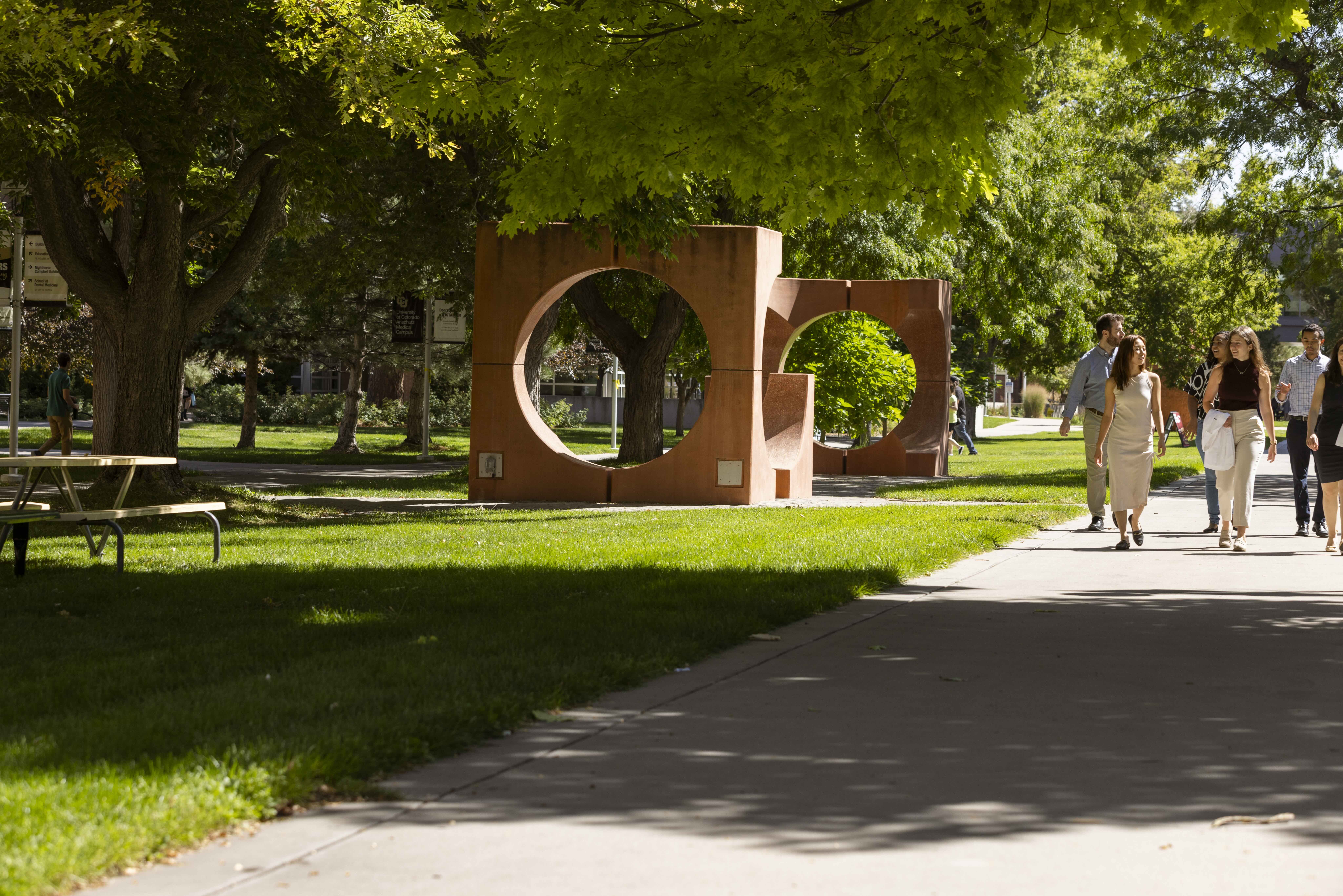 A tree covered walkway on campus