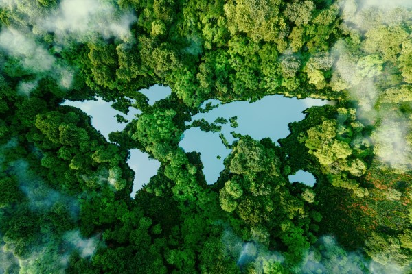 Climate & Health Science Policy Fellowship