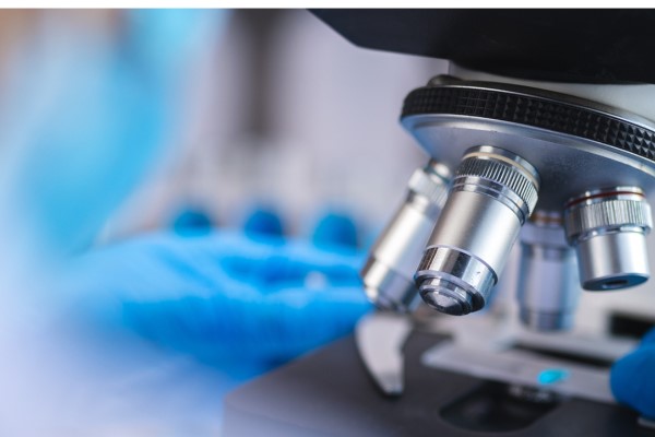 Research Fellowship Microscope