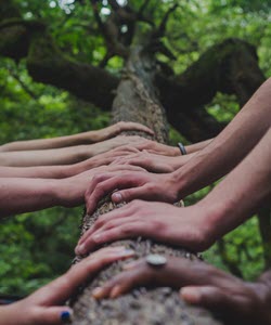 hands-on-tree