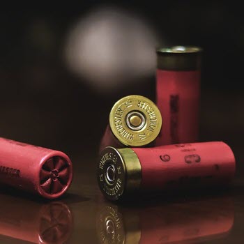 shells Picture of ammunition shells