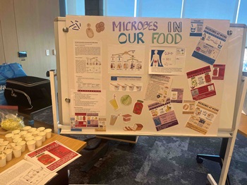 PhotoofMicrobsinourFoodpostersanddisplays