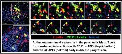 Freiedman Figure 2_opt