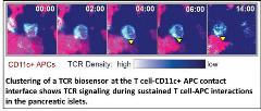 Freiedman Figure 3_opt