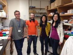 Reinhardt Lab 7