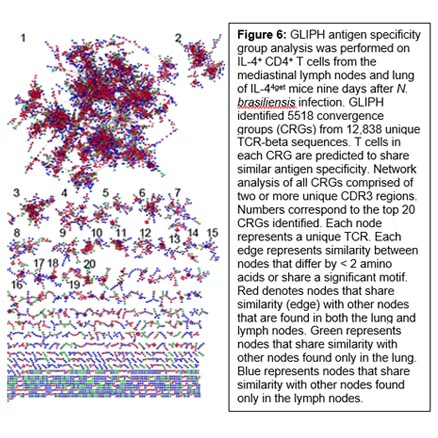 Research Image 6