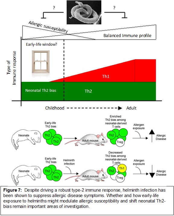 Research Image 7-1