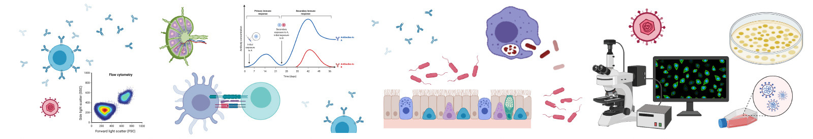 Basic Immunology, Translational Immunology, Host-Pathogen interactions, Microbial pathpgenesis, Basic Bacteriology & Virology
