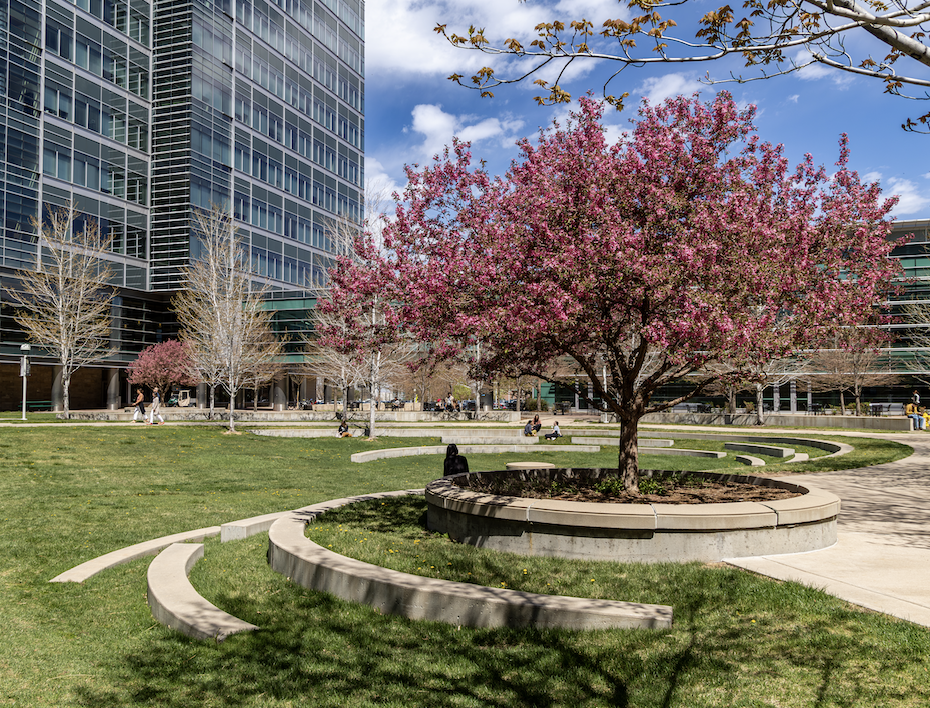 campus spring