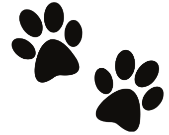 pawprints