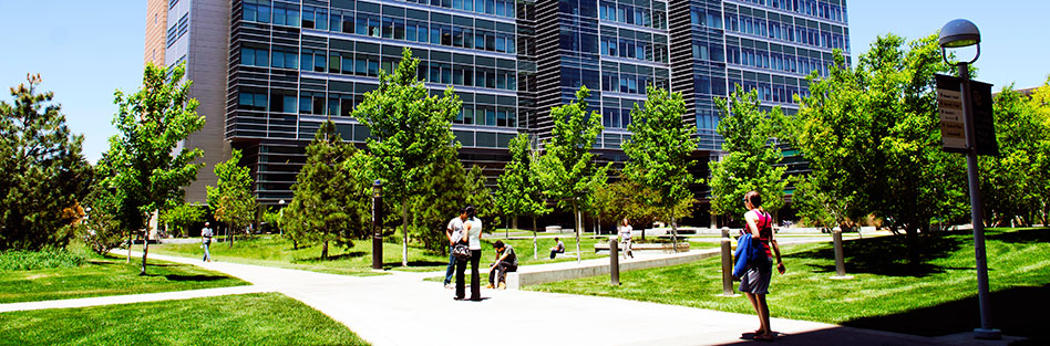 people walking through campus