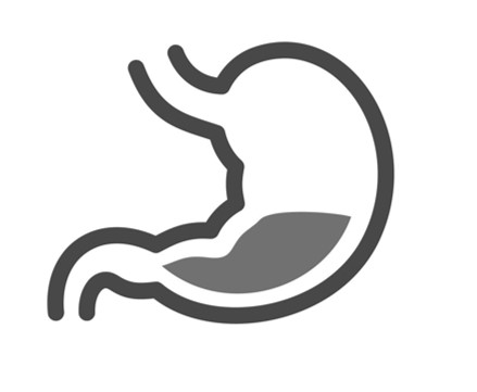 GI