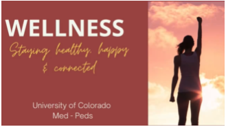 Wellness Video