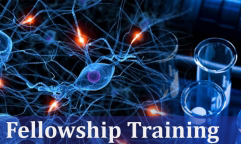 Fellowship Fellowship