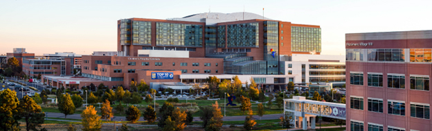 UChealth in horizontal photo