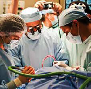 doctors in surgery