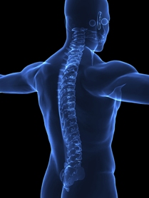 Spine Disorders Page