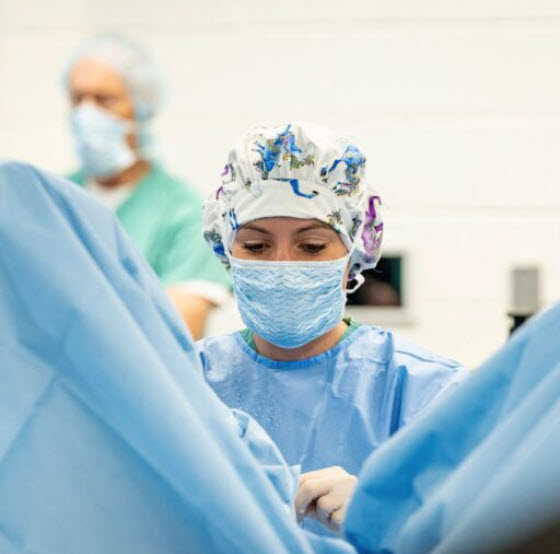 CSU veterinarians expand on orthopedic research to aid horses and humans