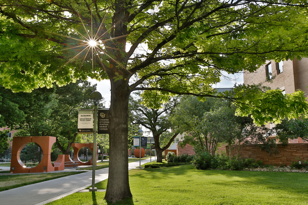 CU Orthopedic Faculty