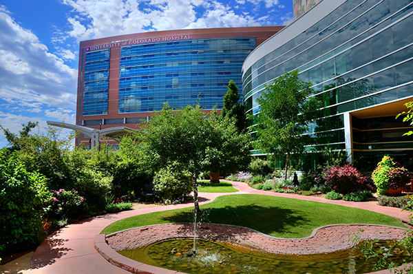 UC Health, Department of Orthopedics