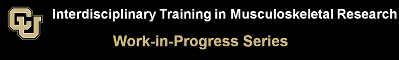 Work-in-Progress Series Banner